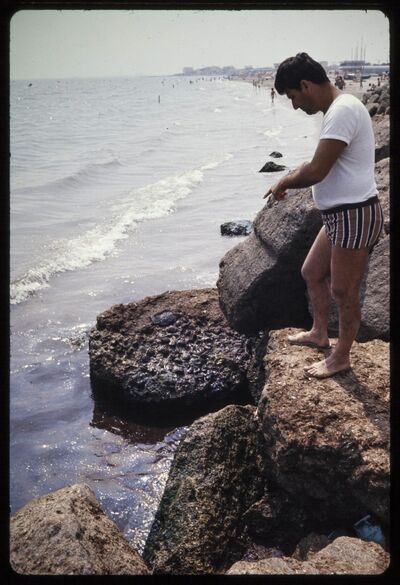 Pollution sur la plage des cabanons de Fos